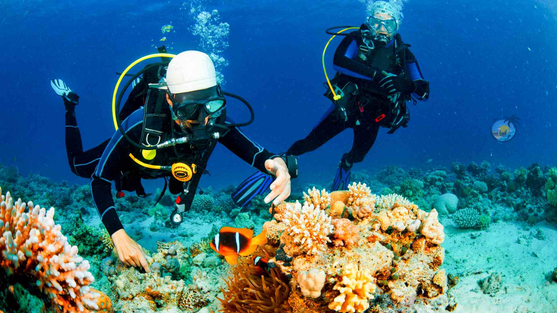 scuba diving Andaman Islands